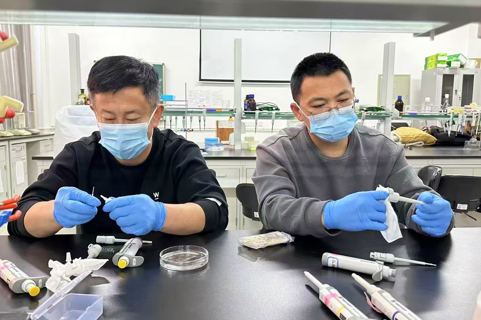 1767141566664692.jpg 内蒙1_副本.jpg