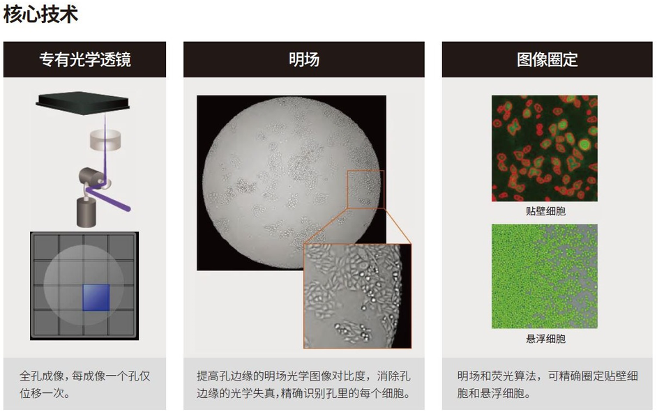 1792652928970328.png 图片.png