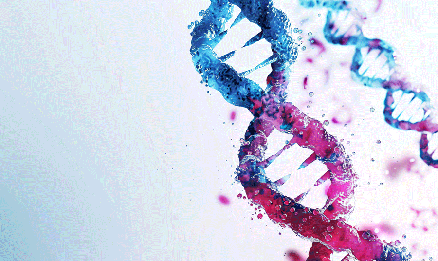 蛋白质电泳转印